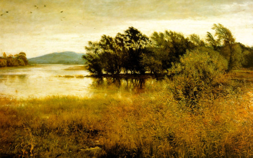 1717902 (a): :1920x1200